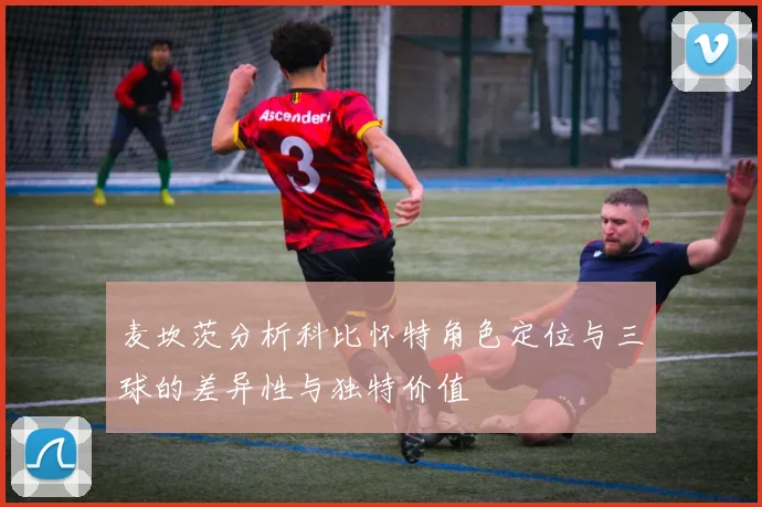 麦坎茨分析科比怀特角色定位与三球的差异性与独特价值