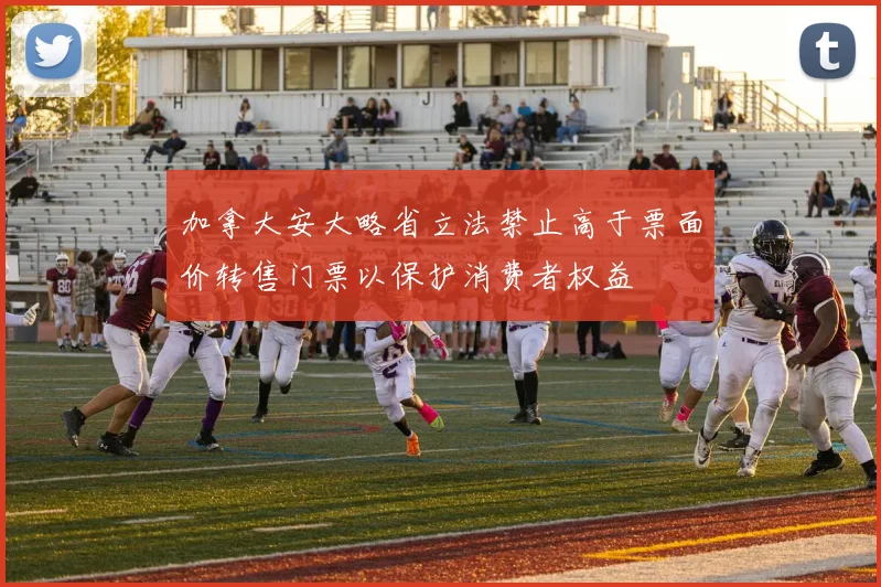加拿大安大略省立法禁止高于票面价转售门票以保护消费者权益